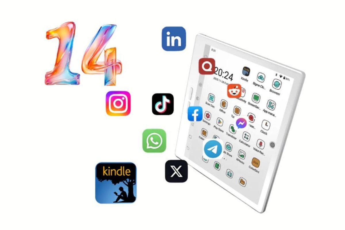 12 (1)
